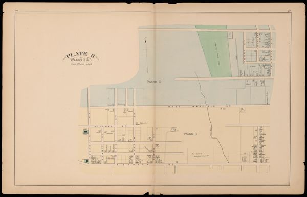 Plate 6