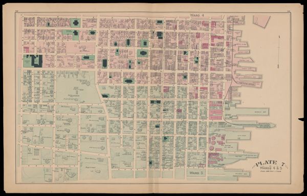 Plate 7