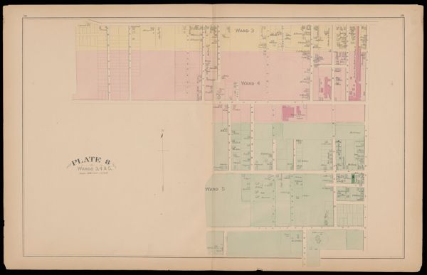 Plate 8