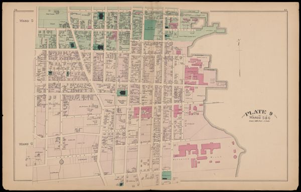 Plate 9
