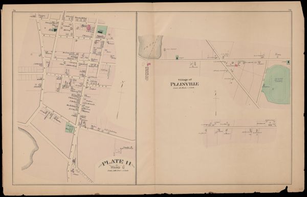Plate 11