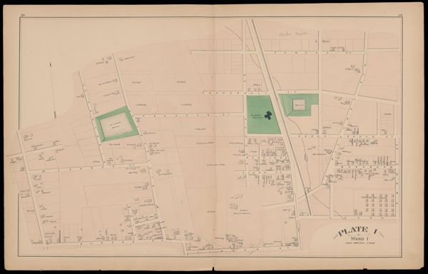 Plate 1