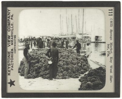 Sponge Market; Key West Harbor, Fla.