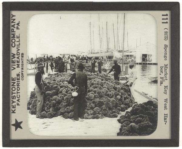 Sponge Market; Key West Harbor, Fla.