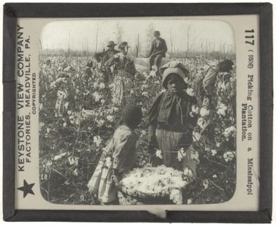 Picking Cotton on a Mississippi Plantation.