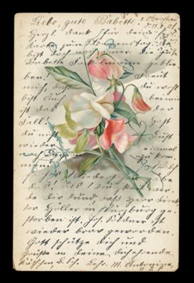 [Postcard Correspondence Betty Fackelmann]
