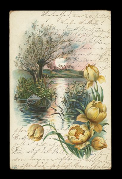 Postcard 8