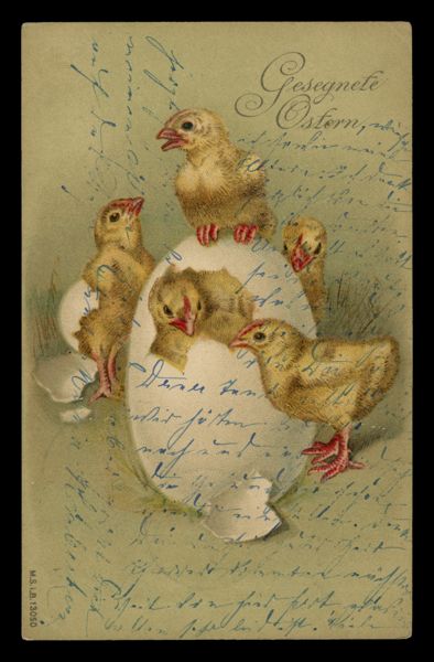 Postcard 48