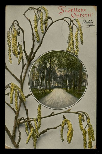 Postcard 149