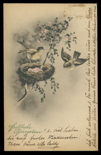 Postcard 180