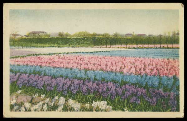 Postcard 208