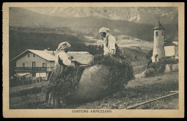 Postcard 219