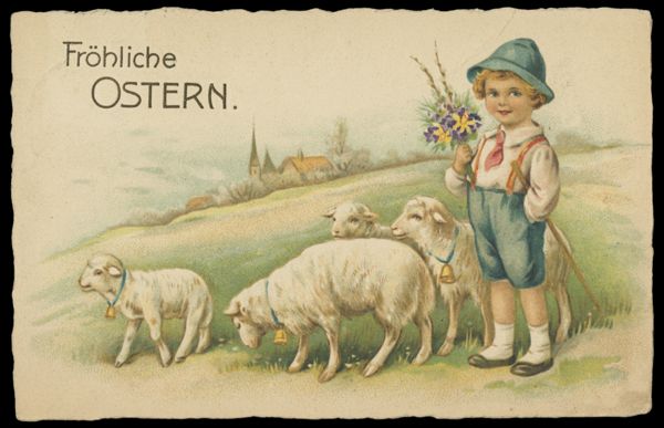 Postcard 243