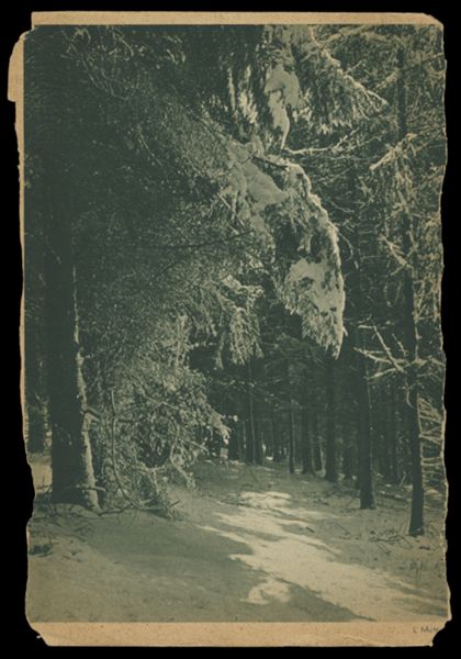 Postcard 259