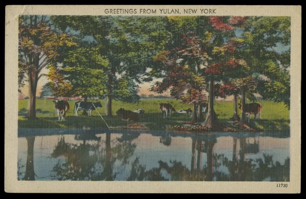 Postcard 265