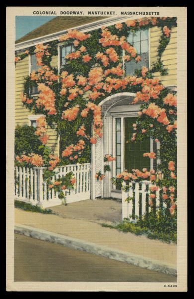 Postcard 266