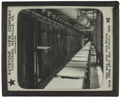 Conveyor with Loaf Sugar from Drying Kiln, New York City.