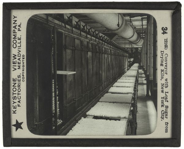 Conveyor with Loaf Sugar from Drying Kiln, New York City.