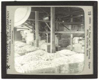 Cut Rags after Washing, Paper Mills, Holyoke, Mass.