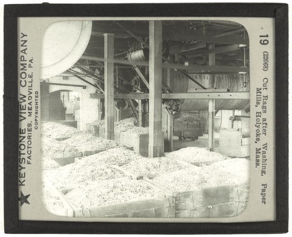 Cut Rags after Washing, Paper Mills, Holyoke, Mass.