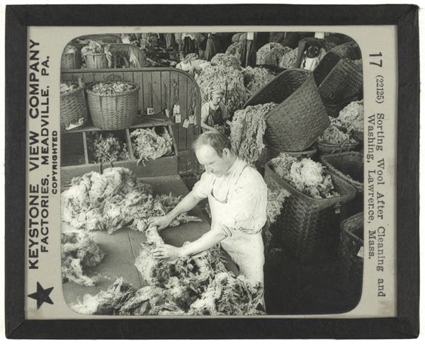 Sorting Wool After Cleaning and Washing, Lawrence, Mass.