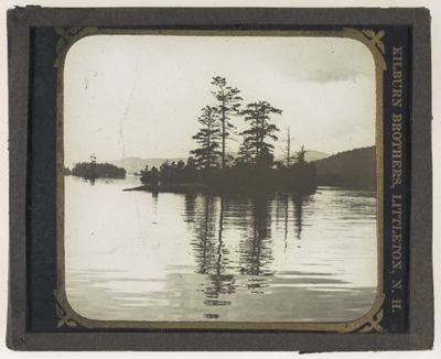 [Trees on a lake]
