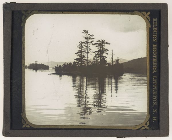 [Trees on a lake]