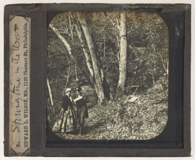 Spring time in the woods