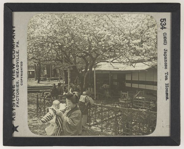 Japanese Tea Houses.