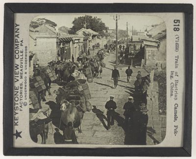 Train of Bactrian Camels, Peking, China.