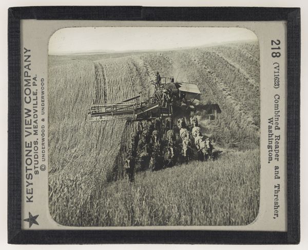 Combined Reaper and Thresher, Washington.