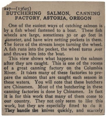 Butchering Salmon, Canning Factory, Astoria, Oregon