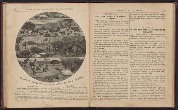 Plants and Animals of the Different Climates of the earth