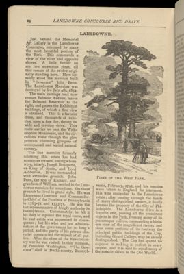 Pines of the West Park