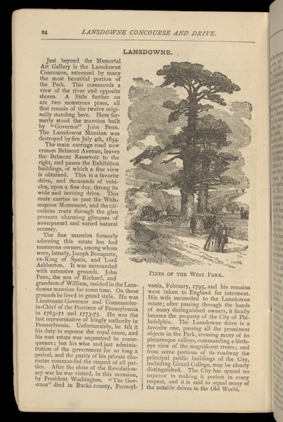 Pines of the West Park