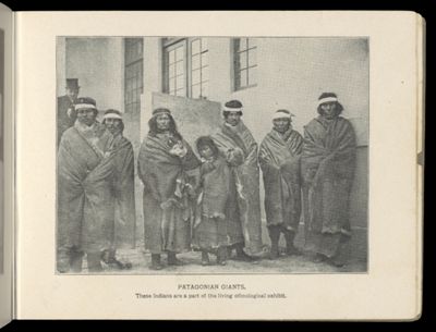 Patagonian Giants