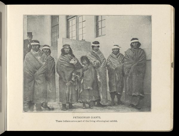 Patagonian Giants
