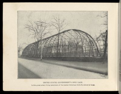 United States Govenment's Bird Cage