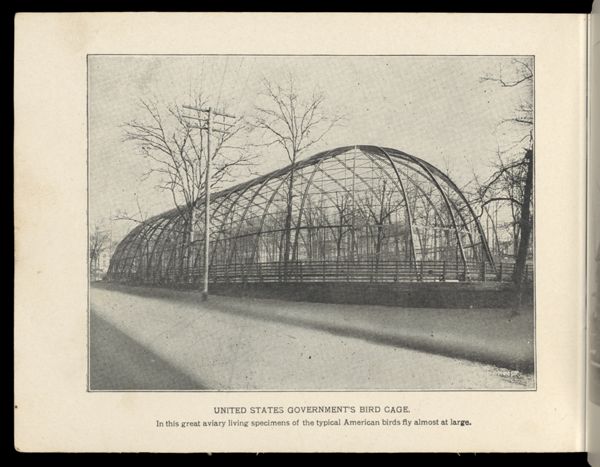 United States Govenment's Bird Cage
