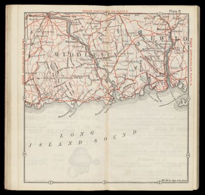 Plate 8