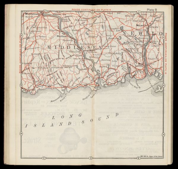 Plate 8