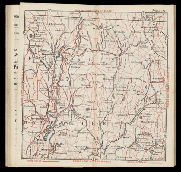 Plate 10