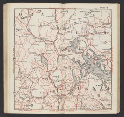Plate 19