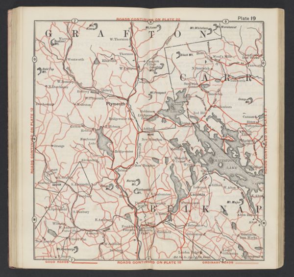 Plate 19