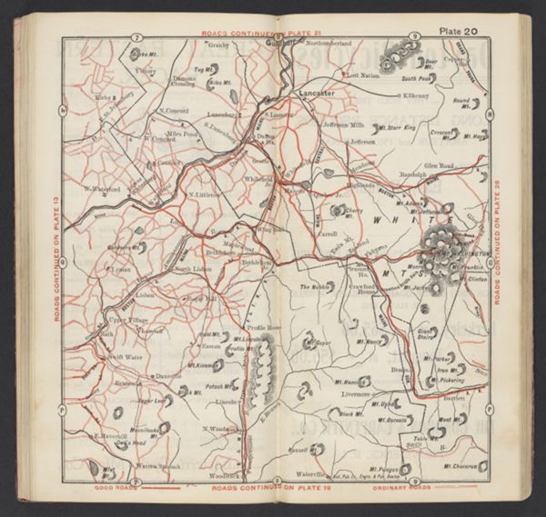 Plate 20