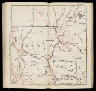 Plate 21