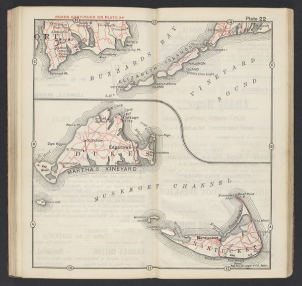 Plate 22