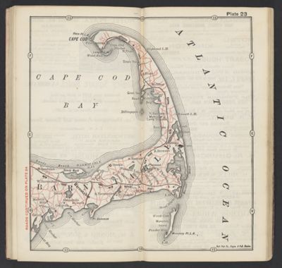 Plate 23