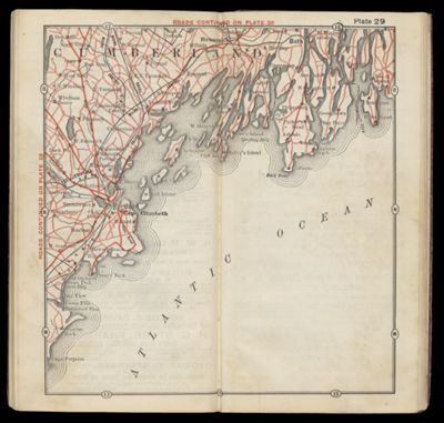 Plate 29