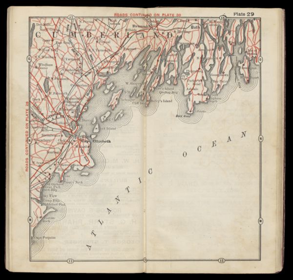Plate 29
